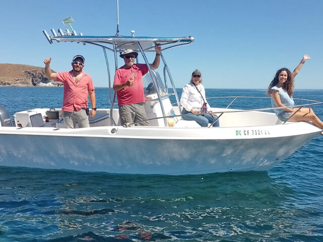 Listing image 882117