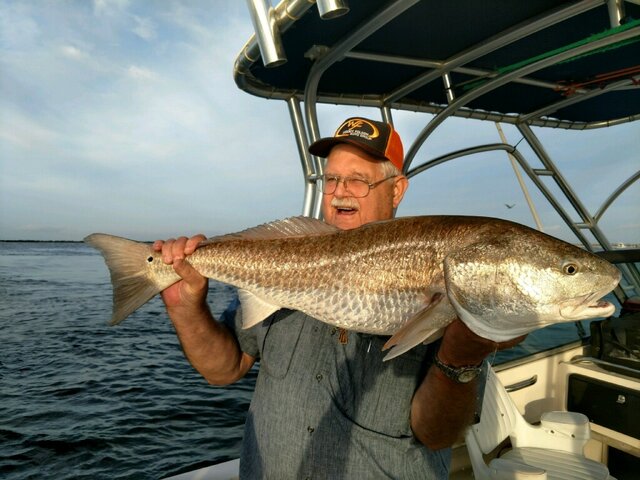 Listing image 881620