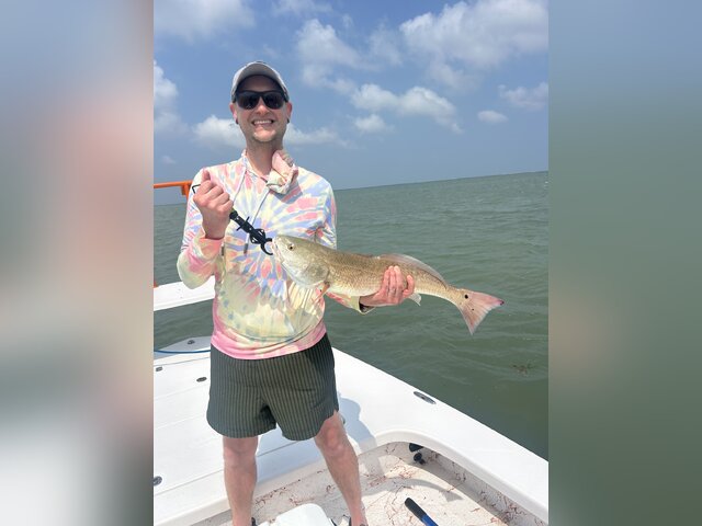 Listing image 1187613