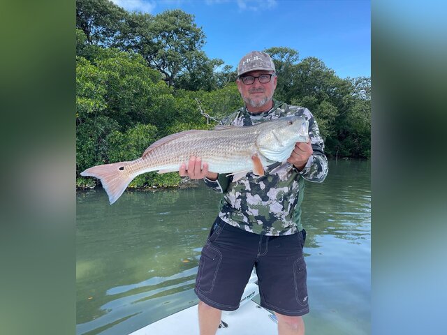 Listing image 882332