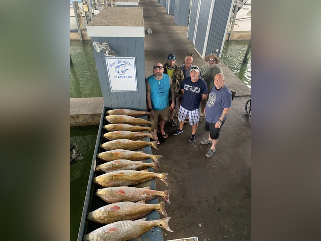 Listing image 670008