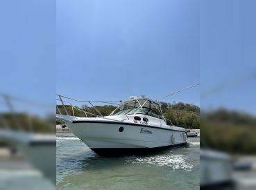 Nosara Sea Saw Tours – FantaSea