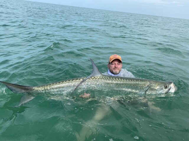 Listing image 886729