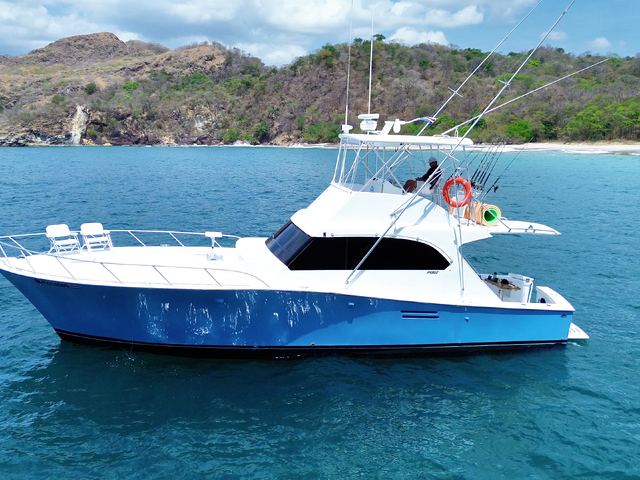 Listing image 1165944