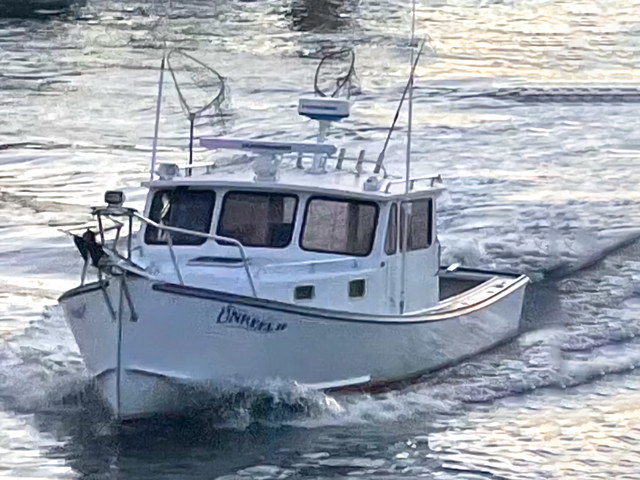 Listing image 890403