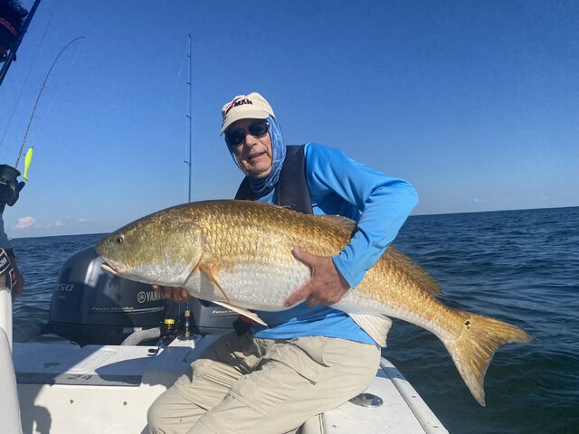 Listing image 888785