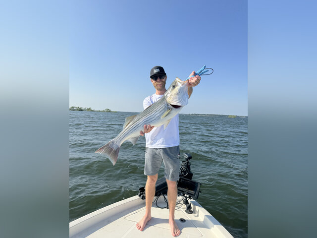 Listing image 1035866