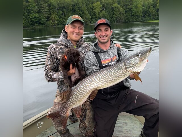 Listing image 889467