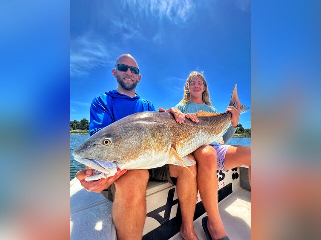 Listing image 1162352