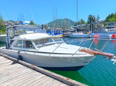 Bonzai Sea Adventures thumbnail