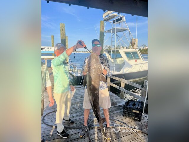 Listing image 930782