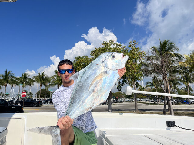 Listing image 945224