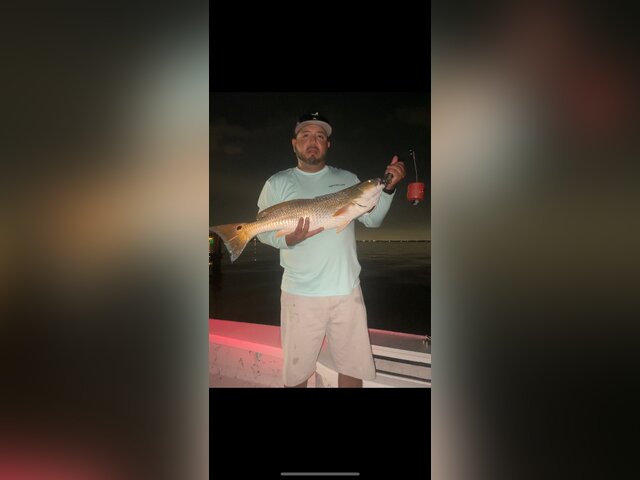 Listing image 896230