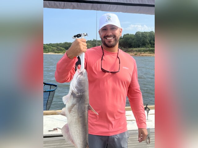 Listing image 896283