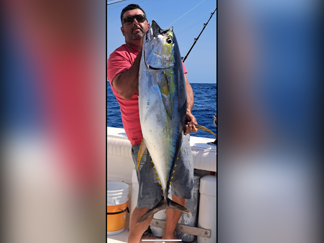 Listing image 1056134