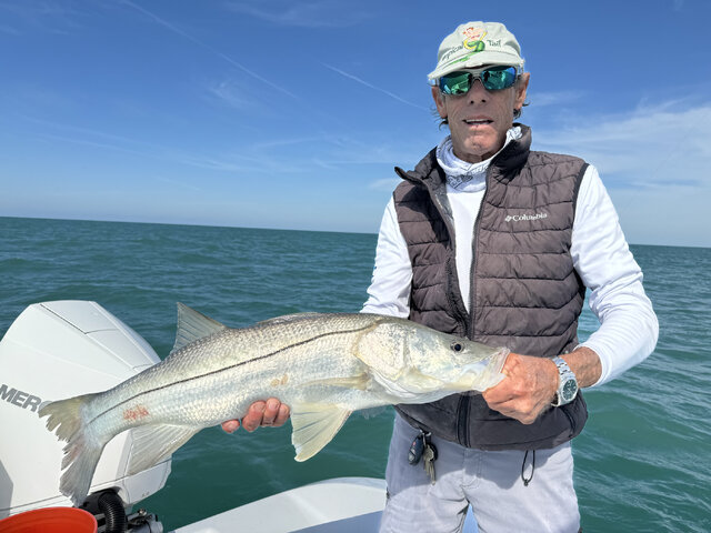 Listing image 1054236