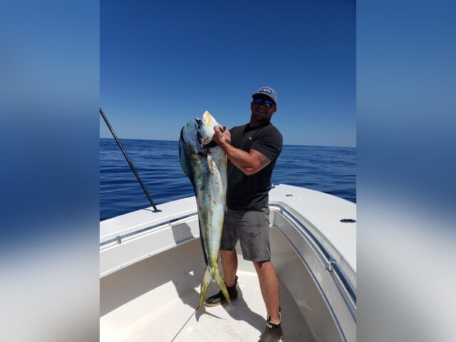 Listing image 897540