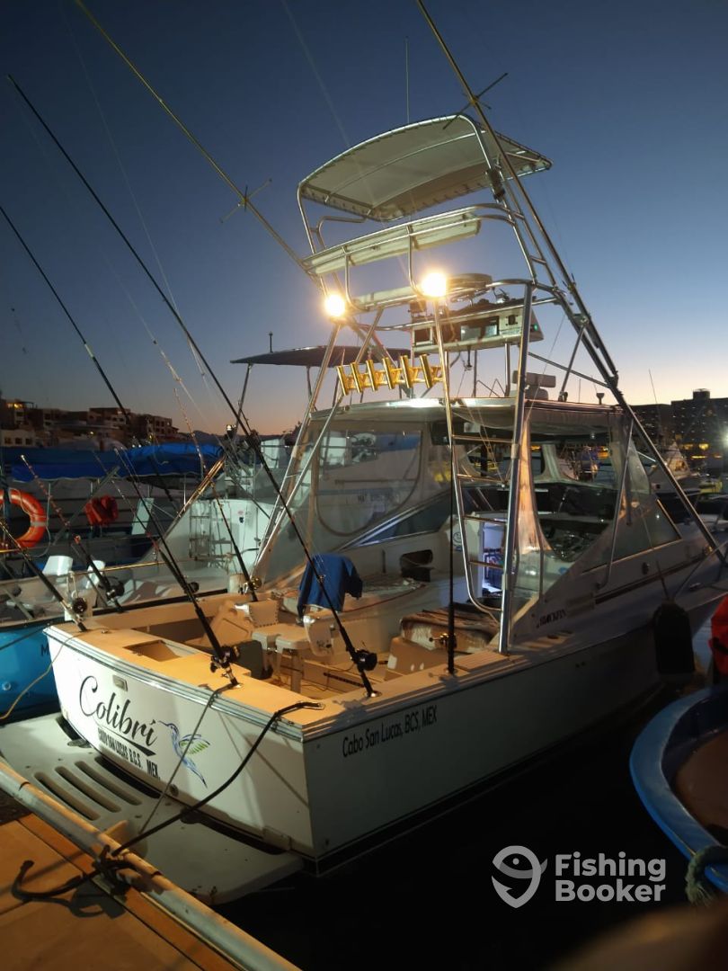 Boat image