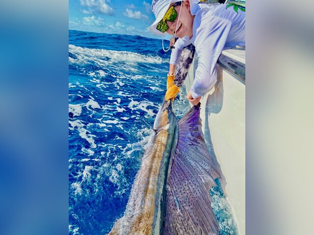 Listing image 1291121