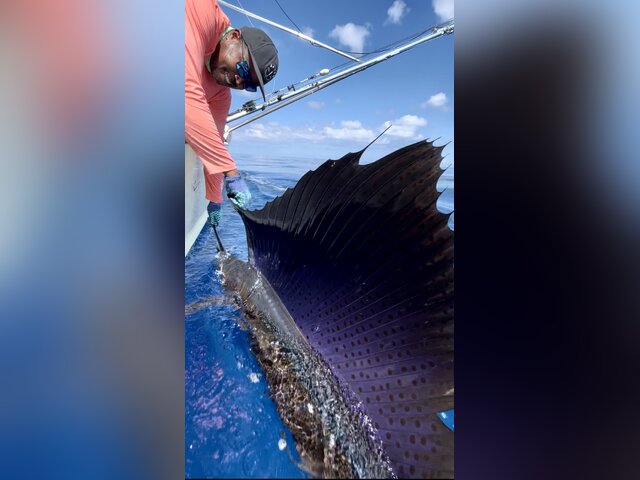 Listing image 1137589