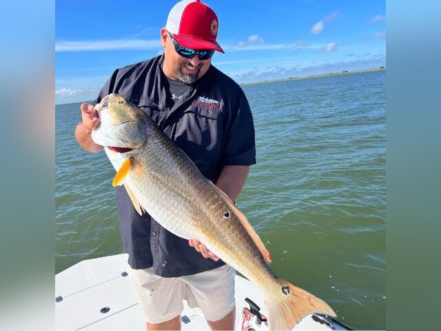 Listing image 903586