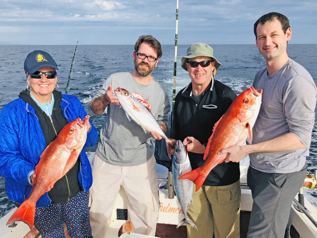 Listing image 904986