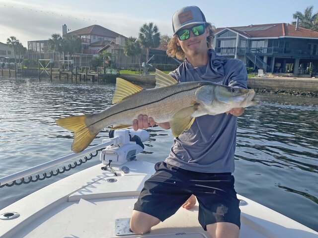 Listing image 908595