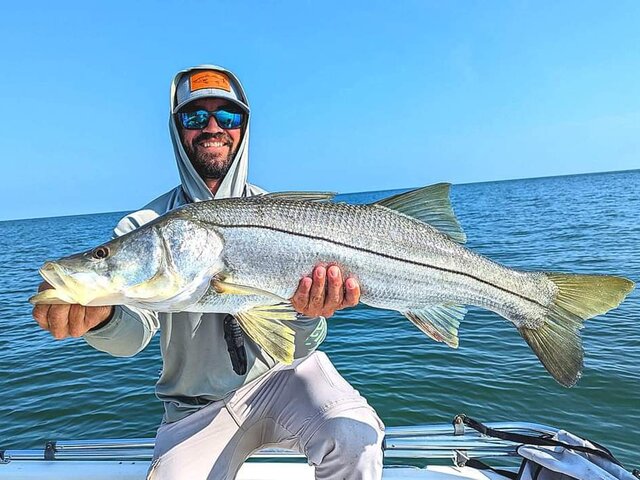 Listing image 905159