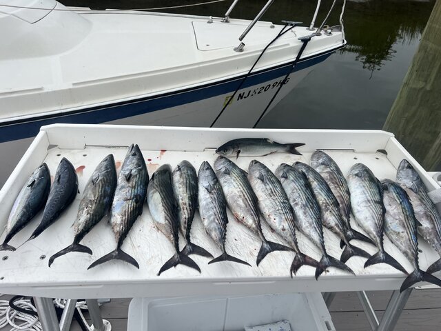 Listing image 1084150