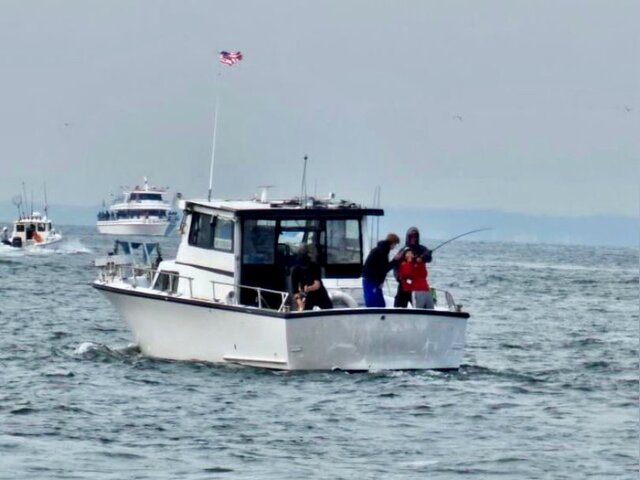 Listing image 952781