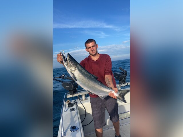 Listing image 907172