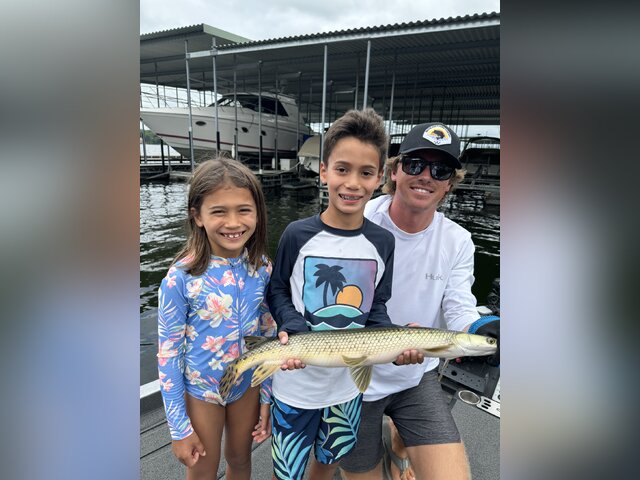 Listing image 1076919