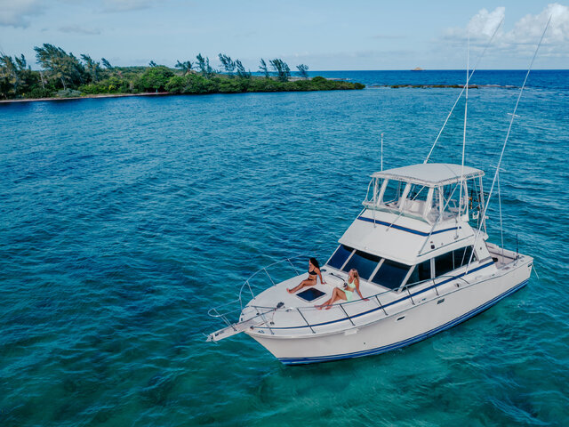 Listing image 946746