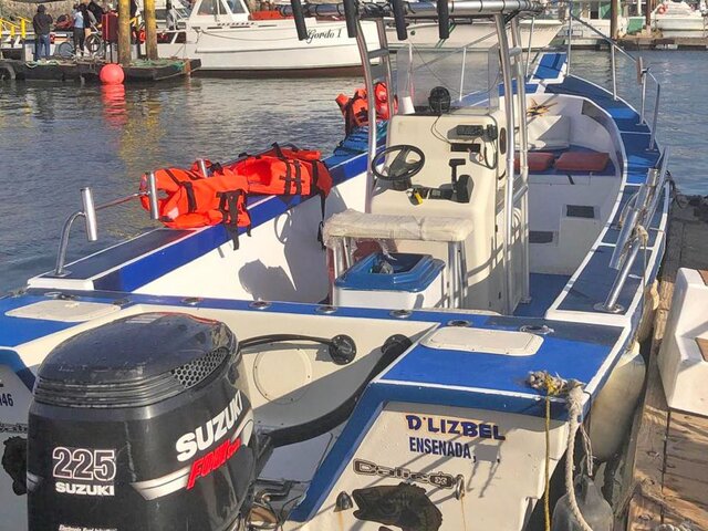 Listing image 914819