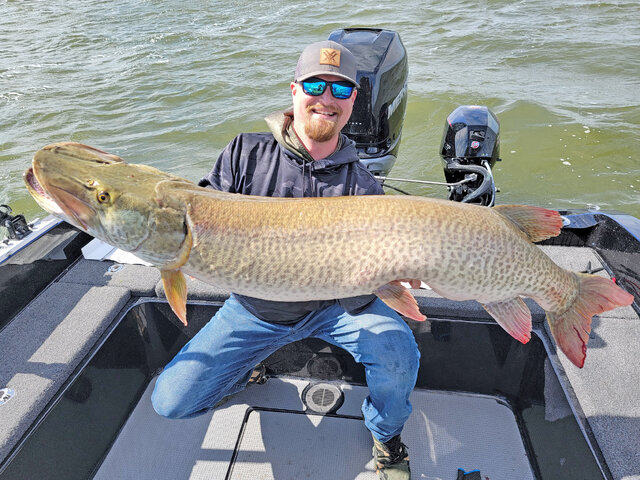 Listing image 914184