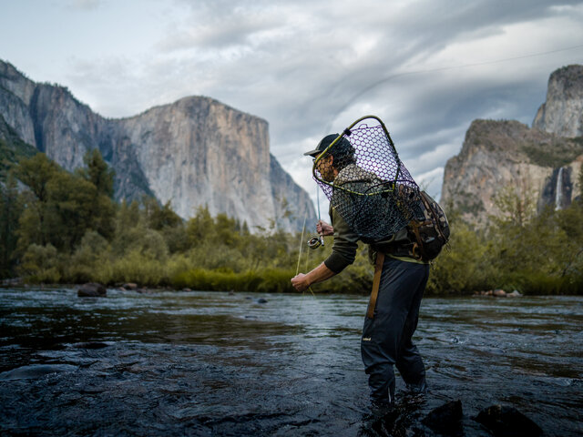 Listing image 1026421