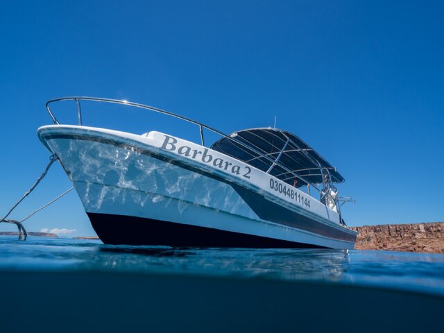 Listing image 1229941