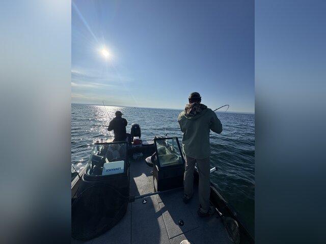 Listing image 1337128