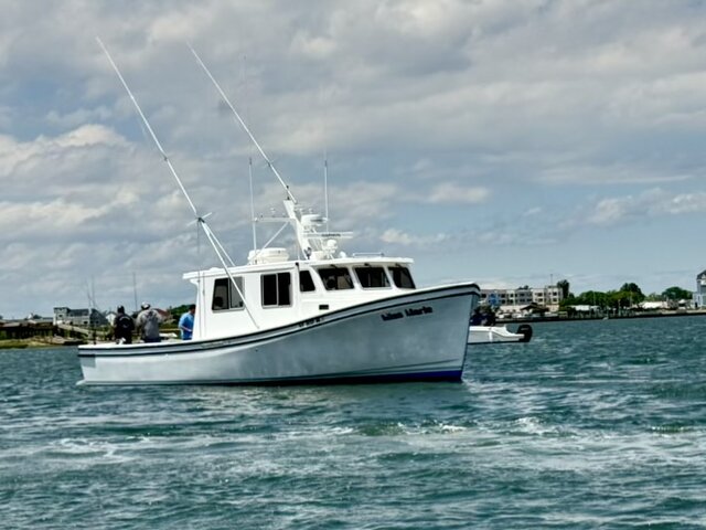 Listing image 1048582