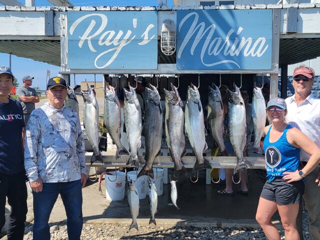 Listing image 913369