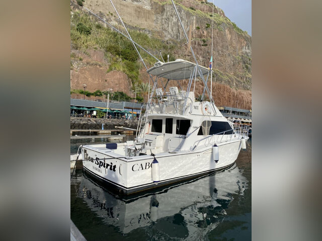 Listing image 1037088