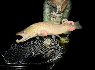 Brule River Walk and Wade Fishing Trips