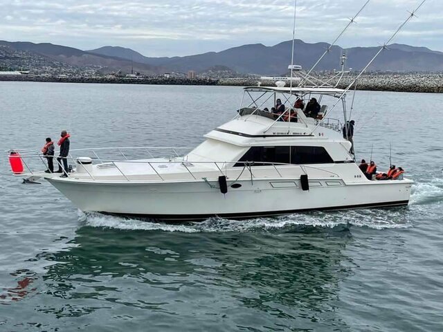 Listing image 1021654