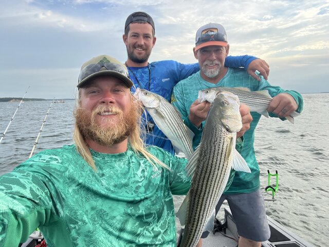 Listing image 915511