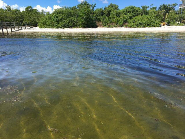 Listing image 305487