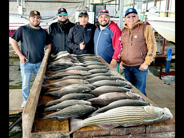 Listing image 1017474