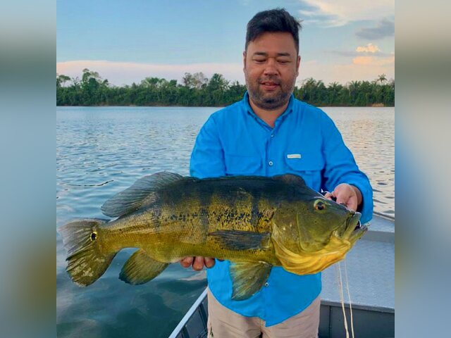 Listing image 919157