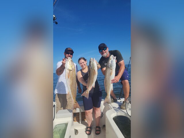 Listing image 929085