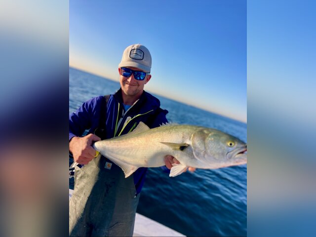 Listing image 919751