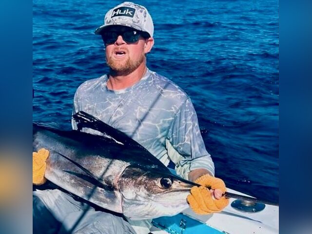 Listing image 922031